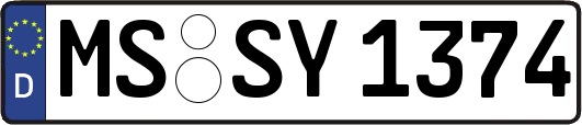 MS-SY1374