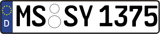 MS-SY1375