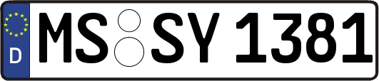 MS-SY1381