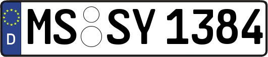 MS-SY1384