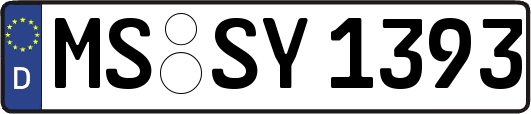 MS-SY1393