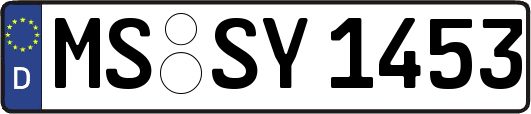 MS-SY1453