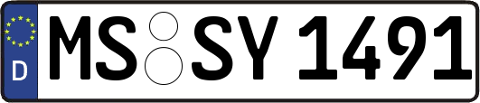 MS-SY1491