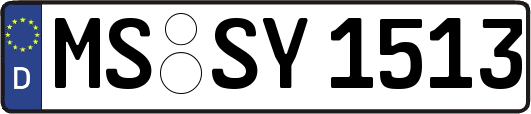 MS-SY1513
