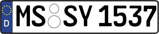 MS-SY1537