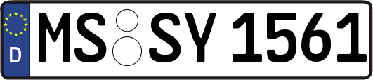 MS-SY1561