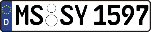 MS-SY1597