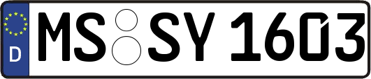 MS-SY1603