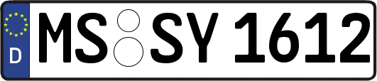 MS-SY1612