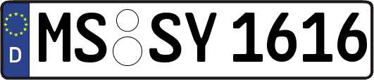 MS-SY1616