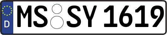 MS-SY1619