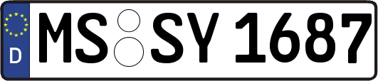 MS-SY1687