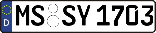 MS-SY1703