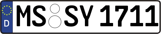 MS-SY1711