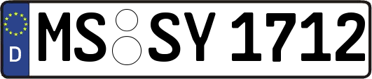 MS-SY1712
