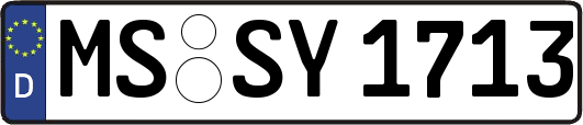 MS-SY1713