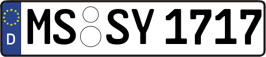 MS-SY1717