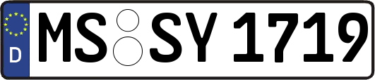 MS-SY1719