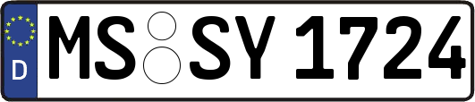 MS-SY1724