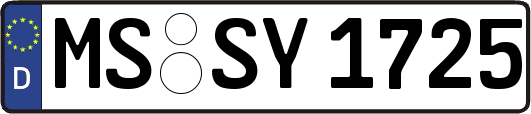 MS-SY1725