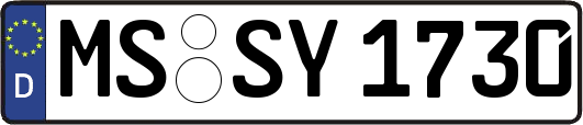 MS-SY1730