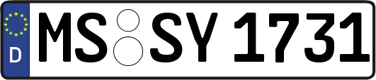 MS-SY1731