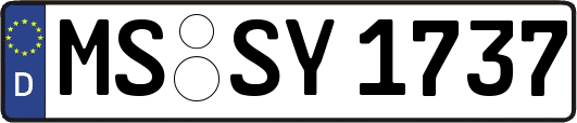 MS-SY1737