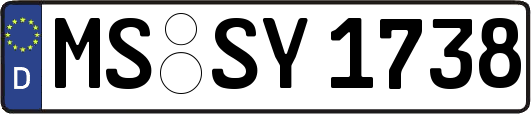 MS-SY1738