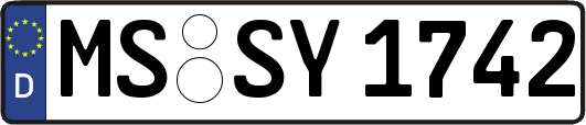 MS-SY1742