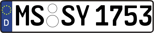 MS-SY1753