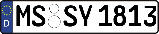 MS-SY1813