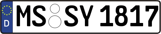 MS-SY1817