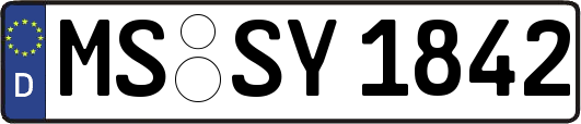 MS-SY1842