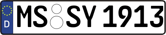 MS-SY1913