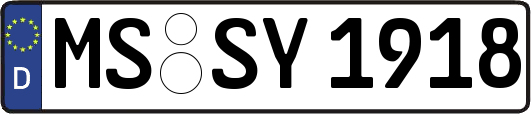 MS-SY1918