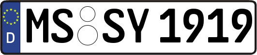 MS-SY1919