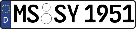 MS-SY1951