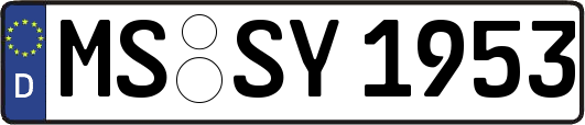 MS-SY1953