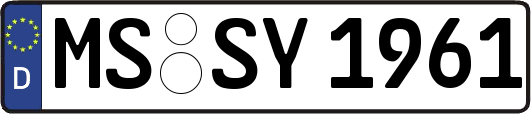 MS-SY1961
