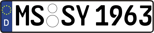 MS-SY1963