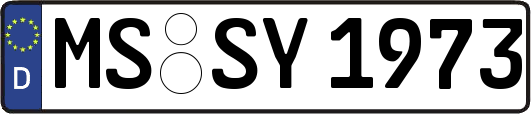 MS-SY1973