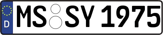 MS-SY1975