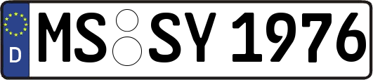 MS-SY1976