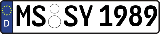 MS-SY1989