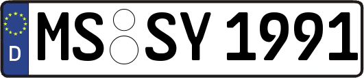 MS-SY1991