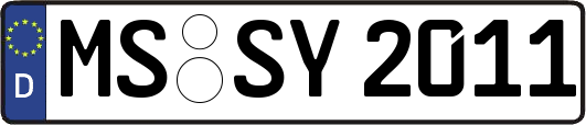 MS-SY2011