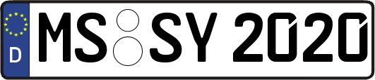 MS-SY2020