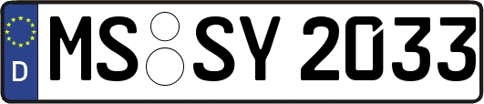 MS-SY2033