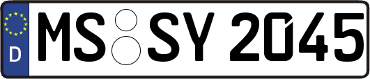 MS-SY2045