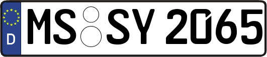 MS-SY2065